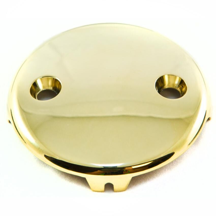 2-Hole Tub Face Plate & Screws