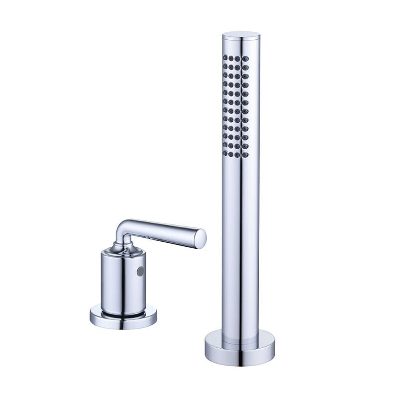 Noemii WaterSense Handshower & Diverter Trim